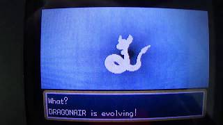 Dragonair Evoluindo pra Dragonite  Pokémon FireRed [upl. by Allan]