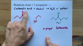 Butanoic Acid  Propanol  ESTER  water [upl. by Lemaceon]