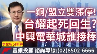 20240409李世新分析師｜一銅盟立雙雙漲停創高！台耀起死回生？中興電華城誰接棒？ [upl. by Yhtir]