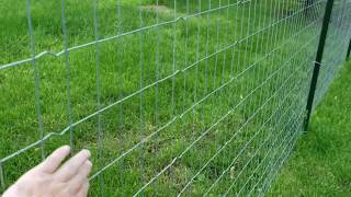 Loose Welded Wire Fence [upl. by Huppert]