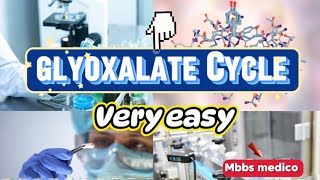 Glyoxylate cycle [upl. by Ettenav944]