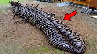 20 Largest Amazon Monsters Ever Discovered [upl. by Inga]