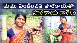 మేము పండించిన సోరకాయతో సొరకాయ గారెలు  MKTV VLOGS MKTVVARSHINI VLOG 481 [upl. by Zat]