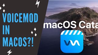 Voicemod on MacOS Works  Windows App on Catalina 1015 to Use w OBSSLOBSDiscord [upl. by Donoghue]