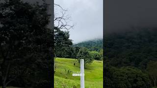 trending drive explore nature naturelovers life reels travel kerala munnar [upl. by Enidlarej]