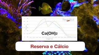 Reserva Alcalina e Cálcio  Hidróxido de Cálcio [upl. by Akenahs]