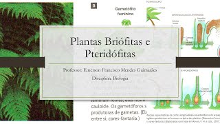 Plantas Briófitas e Pteridófitas [upl. by Eixirt]