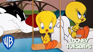 Looney Tuesdays  15 Times Tweety Almost Got Caught By Sylvester  Looney Tunes  WB Kids [upl. by Sairahcaz]