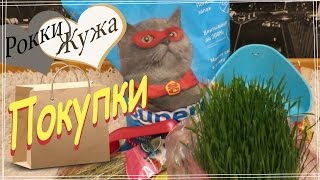 Покупки для морских свинок Shopping for guinea pigs [upl. by Shaya]