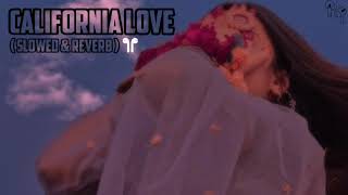 california love song  california love slowed and reverb song  browntownmusic [upl. by Emirac395]