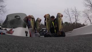 New Years Slam Lay Lake Swim Jig [upl. by Darooge372]