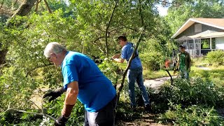 Removing Invasive Autumn Olive [upl. by Sitruk720]