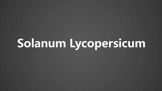 How To Pronounce Solanum Lycopersicum [upl. by Eulalia]