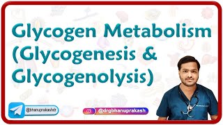 Glycogen Metabolism Glycogenesis amp Glycogenolysis [upl. by Anileve518]