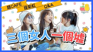 【三個女人一個墟🙎‍♀️】去貓Cafe被貓圍😹QampA時間！掟彩虹開外掛？😱｜Pomato 小薯茄 [upl. by Leahci135]