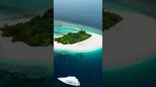 Boat life is a good life 🤙🏼 love yatch maldives wildlife travel diverlife agassizii [upl. by Ainerol]