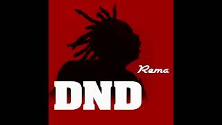 Rema ft JCingz  DND Remix [upl. by Buonomo]