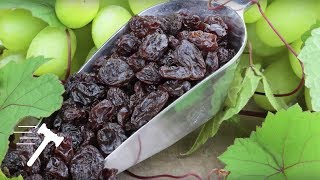 Does the Governments seizure of raisins violate the Takings Clause Horne v USDA [upl. by Smeaj]