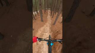 Knysna MTB Trails  GoPro Hero 7 Black [upl. by Pasol]