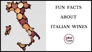 Fun facts about Italian wines  WineTuber [upl. by Nnayr529]