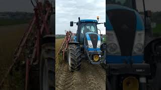 Kopanie sadzonek porzeczki czarnej kombajnem LAUWERS  Digging seedlings currant POLAND [upl. by Hillari]