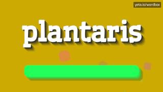 PLANTARIS  HOW TO PRONOUNCE PLANTARIS plantaris [upl. by Ahon98]