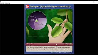 Type IV 4 Hypersensitivity [upl. by Hayotal357]