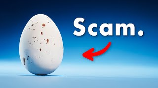 This Egg is Natures Greatest Scam [upl. by Aphrodite]