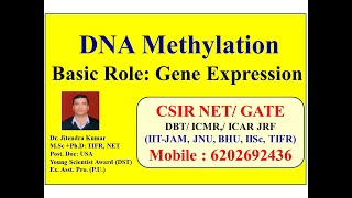 DNA Methylation Role in Gene Expression  Video lecture by Dr Jitendra Kumar [upl. by Nnaeel]