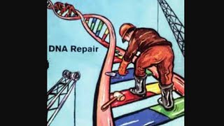 DNA Repair MechanismPart 1GeneticsTamil Mightymedicoz [upl. by Meaghan]