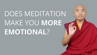 Does Meditation Make You More Emotional with Yongey Mingyur Rinpoche [upl. by Talie]