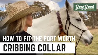 All You Need to Know About Cribbing Collars  Greg Grant Saddlery [upl. by Jazmin]