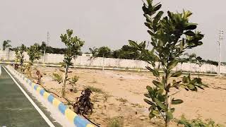 DTCP PLOTS FOR SALE IN NALGONDA  COLLECTORATE OFFICE 7671086372 [upl. by Waddington384]