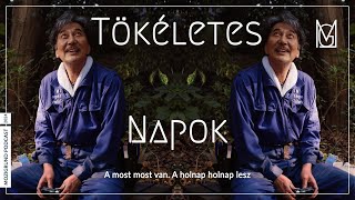 Az ELÉGEDETTSÉG megtalálása a FOGYASZTÓI társadalmunkban  TÖKÉLETES NAPOK 🚽  MG Podcast 122 [upl. by Rory513]