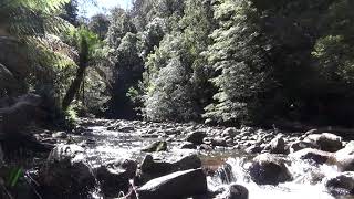 Liffey River Tasmania [upl. by Archibold]