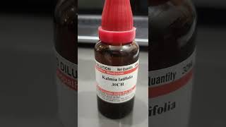 Rheumatoid arthritis l kalmia latifolia 30 l homoeopathic medicine l RA factor [upl. by Ennis]