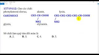 Cho các chất phenylamoni clorua alanin lysin glyxin etylamin Số chất làm quỳ tím đổi màu là [upl. by Harelda]