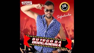 Buteco da Bregadeira  Repertório Novo  2016 CD Completo [upl. by Kylen995]