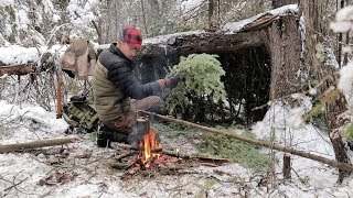 SOLO BUSHCRAFT CAMP 4 Items Only Natural Shelter Wild Game Over the Fire [upl. by Allegra]