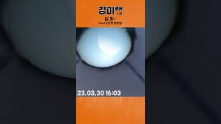 2만 원으로 집에서 달 관측하기🔭 [upl. by Annawad]