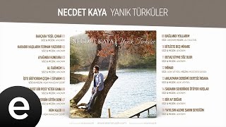 Koyverdin Gittin Beni Necdet Kaya Official Audio koyverdingittinbeni necdetkaya  Esen Müzik [upl. by Zere215]