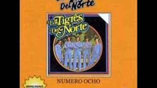 Los Tigres del Norte  El Pájaro Prieto [upl. by Ray]