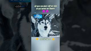 Hollywood movies explained in Hindi hollywoodmovieexplainedinhindi hollywoodmovie horrorstories [upl. by Sallee]