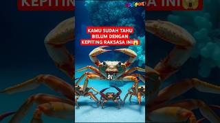 Kepiting Raja Raksasa Laut dengan Cangkang 15 Meter [upl. by Amick]