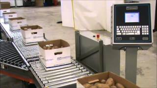 Case Checkweigher with reject [upl. by Frolick752]