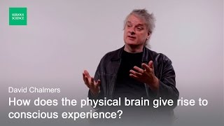 Hard Problem of Consciousness — David Chalmers [upl. by Ashwin217]