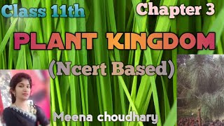 PteridophytesPart6 Plant KingdomNcert class 11th biology youtubevideos trending viralvideo [upl. by Stephanie]