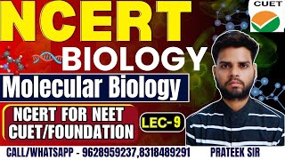 NCERT Biology Classes 2024  Molecular Biology  NCERT Complete Preparation for NEET  CUET  NCERT [upl. by Onil]