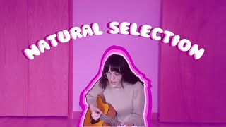 natural selection  animal collective cover [upl. by Namyac]