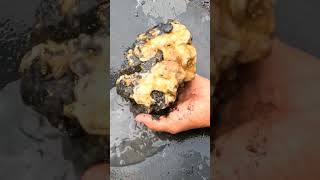 WOOW 😱 AMAZING GOLD PROSPECTING GOLD DISCOVERY GOLD RUSH GOLD PANNING GOLD HUNTER GOLDDISCOVERY [upl. by Aniez472]